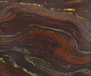 Tiger Iron Stromatolite Shower Tile - Billion Years Old #48786-1